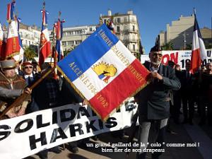 Toulon 7 novembre 2012 Toulon  manif contre le 19 mars    (210)